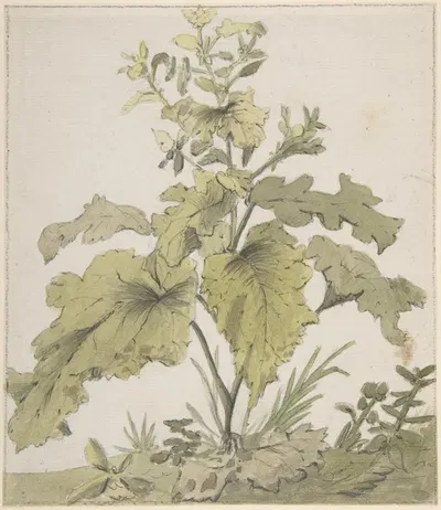 Study of a Plant by Кристиан Вильгельм Эрнст Дитрих — digital art print download
