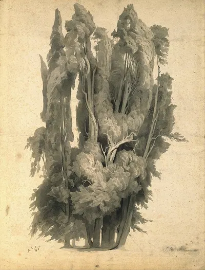 Cypresses in the Park at Villa d’Este in Tivoli by Иоганн Вильгельм Ширмер, 1839 - 1840 — digital art print download