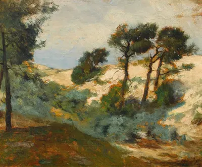 Dunes and Scrub Pine by William Henry Howe, 1901 — digital art print download