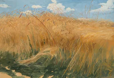 Клосы (Полевые и зерновые исследования) by Влодзимеж Тетмайер, 1901 — digital art print download
