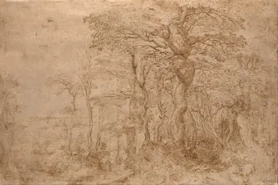 Sylvan Landscape with Five Bears by Питер Брейгель Старший, 1554 — digital art print download