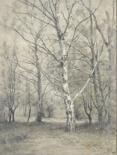Лес с березами by Альфонс Стенгелен, 1875 - 1910 — digital art print download