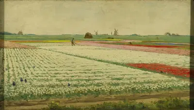 Тюльпанные поля by Геррит Виллем Дейсселхоф, 1890 - 1922 — digital art print download