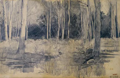 Grove by Сантьяго Русиньоль, 1880-1885 — digital art print download