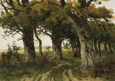 Аллея дубов в позднее лето by Мария Билдерс-ван Боссе, 1880 - 1900 — digital art print download