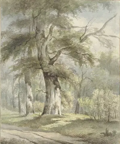 Лесной вид by Арнольдус Иоганнес Эймер, 1813 - 1863 — digital art print download