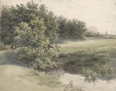 Weidelandschap met sloot by Gerardina Jacoba van de Sande Bakhuyzen, 1836 - 1895 — digital art print download