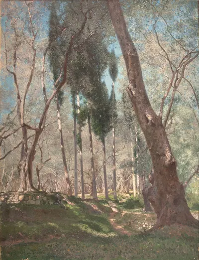 Oliviers à Menton by Henry Brokman, 1897 — digital art print download