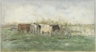 Коровы у лужи by Виллем Марис, 1844 - 1910 — digital art print download