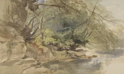 Gezicht in Stapleton Wood, bij Bristol by William James Müller, 1843 — digital art print download
