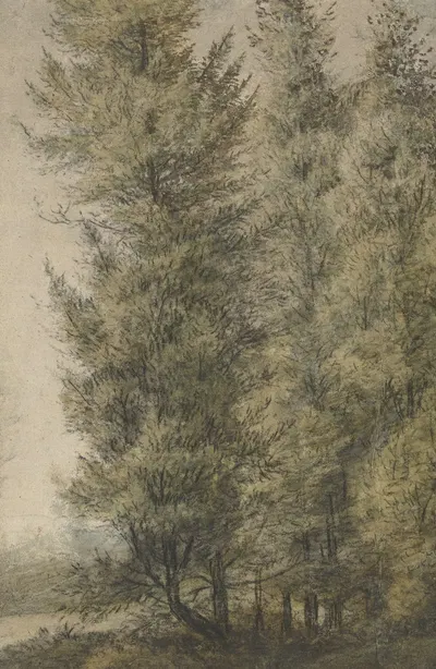 Высокие сосны на краю леса by Антоний Ватерлоо, 1619 - 1690 — digital art print download