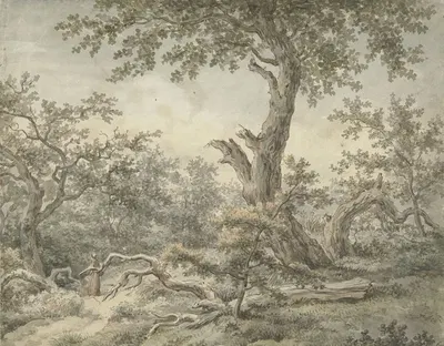 Boslandschap by Cornelis Buys, 1756 - 1826 — digital art print download