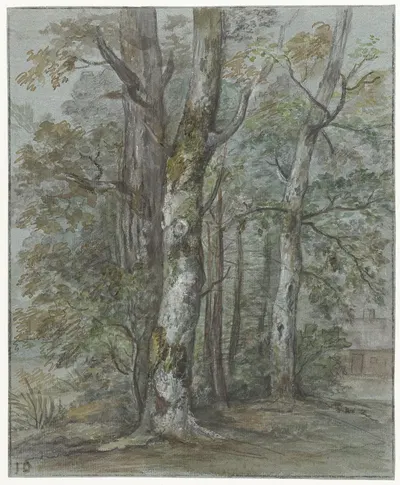 Эскиз дерева by Ян Дасвелдт, 1780 - 1855 — digital art print download