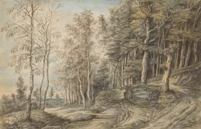 Лесной пейзаж by Лукас ван Уден, 1605 - 1673 — digital art print download