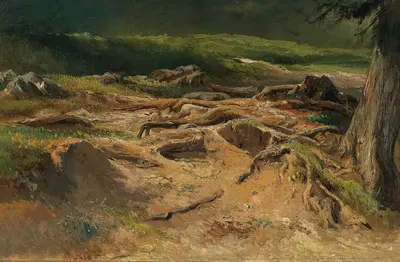 Лесная study by Карл Франц Эмануэль Хаунольд — digital art print download
