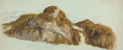 Изучение камней, покрытых водорослями by Эдвард Дункан — digital art print download