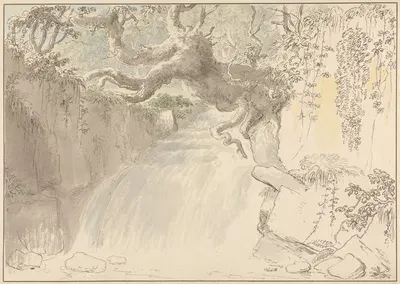 Waterfall and Tree Trunk by Anthony Devis — digital art print download
