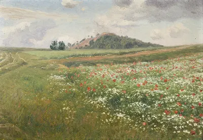 Fields with Wild Poppies by František Kaván — digital art print download