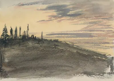 Исследование холма с деревьями by Барбара Бодичон, 1861 — digital art print download
