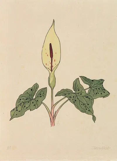 Blumenbuch by Рудольф Кох, 1923 — digital art print download