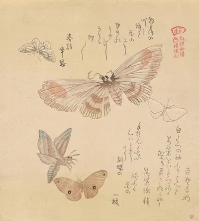 Butterflies and moths, from the series A Flock of Butterflies (Gunchō Gafu) by Кубо Сюнман — digital art print download
