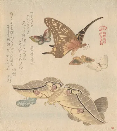 Butterflies and moths, from the series A Flock of Butterflies (Gunchō Gafu) by Кубо Сюнман — digital art print download