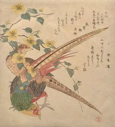 Pair of Chinese pheasants and a branch of yamabuki flowers by Кубо Сюнман — digital art print download