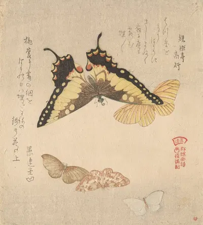 The Painting Manual of Flock of Butterflies (Gunchō Gafu) 3 by Кубо Сюнман — digital art print download