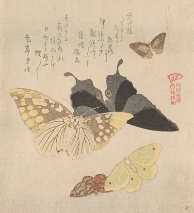 The Painting Manual of Flock of Butterflies (Gunchō Gafu) 4 by Кубо Сюнман — digital art print download