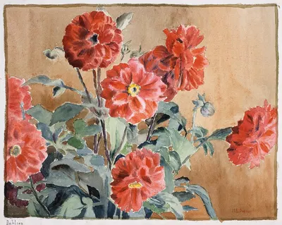 Dahlias by Ханна Боргер Овербек — digital art print download