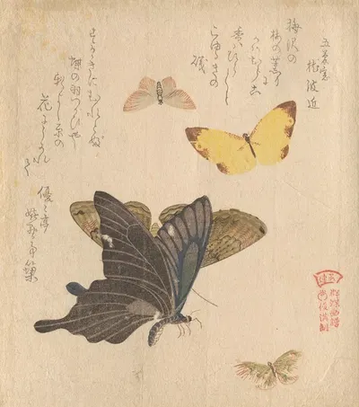 The Painting Manual of Flock of Butterflies (Gunchō Gafu) 5 by Кубо Сюнман — digital art print download