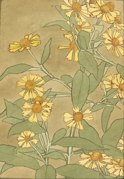 Daisies with Orange Center and Yellow Petals by Ханна Боргер Овербек — digital art print download