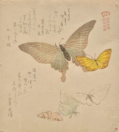 The Painting Manual of Flock of Butterflies (Gunchō Gafu) II by Кубо Сюнман — digital art print download