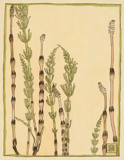Horsetail by Ханна Боргер Овербек — digital art print download