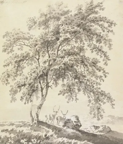 Tree Study with Stags by Джордж Баррет — digital art print download