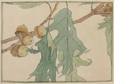 Oak and Acorns by Ханна Боргер Овербек — digital art print download