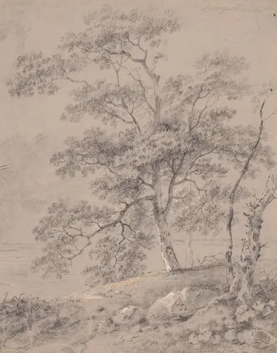Tree Study by Джордж Баррет — digital art print download