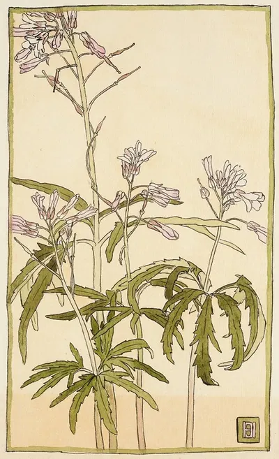 Pink Flowers with Spiky Green Leaves by Ханна Боргер Овербек — digital art print download