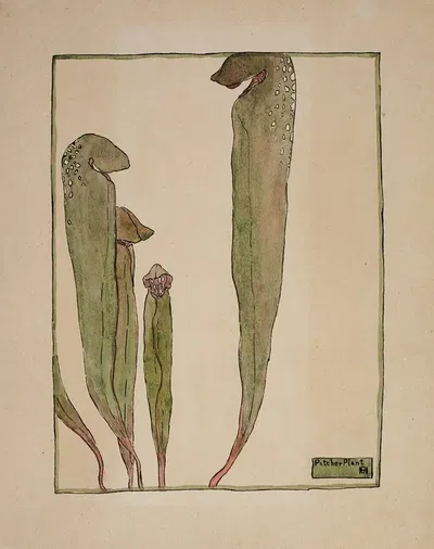 Pitcher Plant by Ханна Боргер Овербек — digital art print download