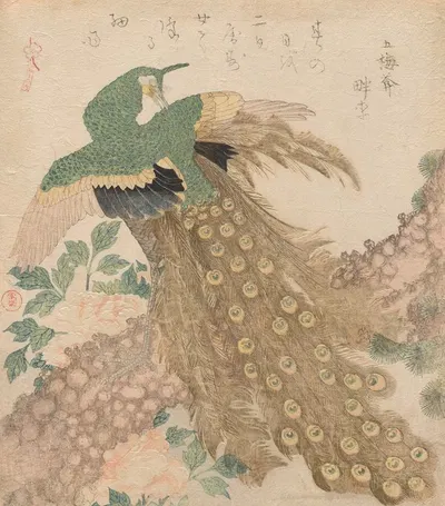 Of Three Pieces [Peacock] (Mi hira no uchi) by Кубо Сюнман — digital art print download