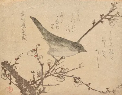 Warbler on plum branch by Kubo Shunman — digital art print download