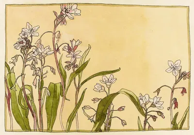 Spring Beauty by Ханна Боргер Овербек — digital art print download