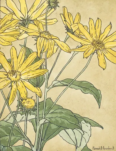 Sunflowers (possibly Jerusalem Artichoke) by Ханна Боргер Овербек — digital art print download