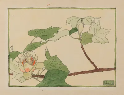 Tulip Tree by Ханна Боргер Овербек — digital art print download