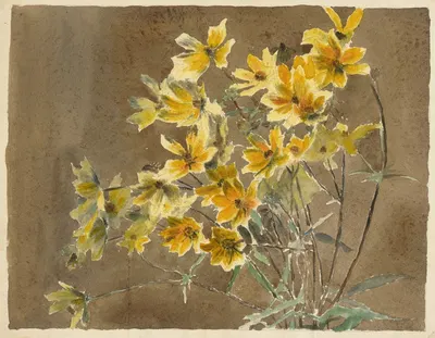 Yellow and Orange Flower. by Ханна Боргер Овербек — digital art print download