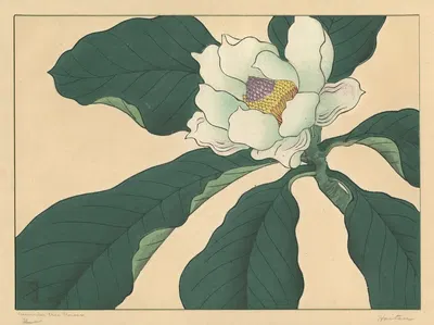 Cucumber tree flowers by Сакаи Хо̄ицу — digital art print download