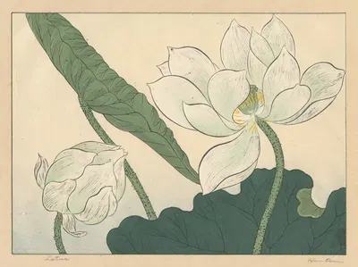 Lotus by Сакаи Хо̄ицу — digital art print download