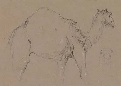 A Camel Moving to the Right; a Sketch of a Camel's Head, Bottom Right by Джордж Джонс — digital art print download