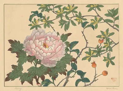 Peony by Sakai Hōitsu — digital art print download