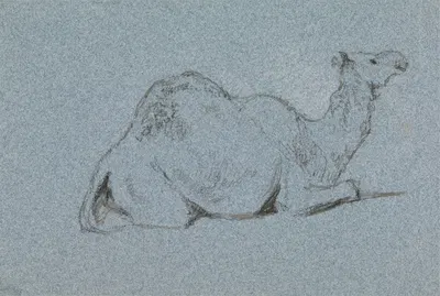 A Camel Resting, Side View to the Right by Джордж Джонс — digital art print download